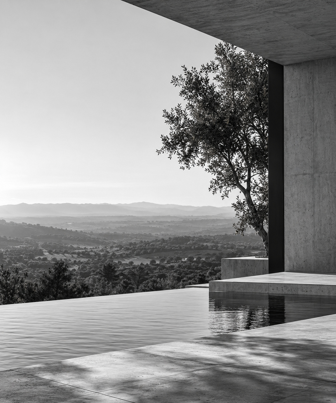 A concrete canopy framing an olive tree above a still reflecting pool, with wooded hills beyond.