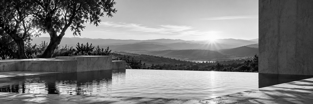 Sunrise over wooded hills, seen across a still pool from beneath an olive tree.